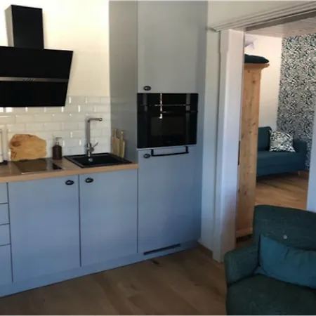 Dachstein 7 Appartement Gosau