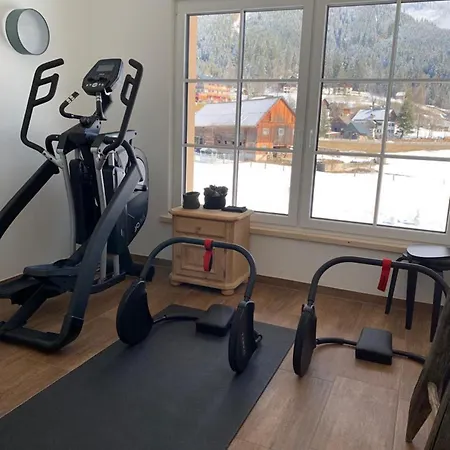 Dachstein 7 * Gosau