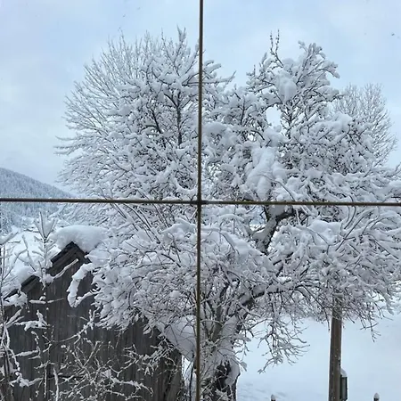 Lägenhet Dachstein 7 Gosau