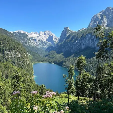 Dachstein 7
