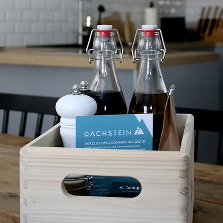 Dachstein 7 Appartement