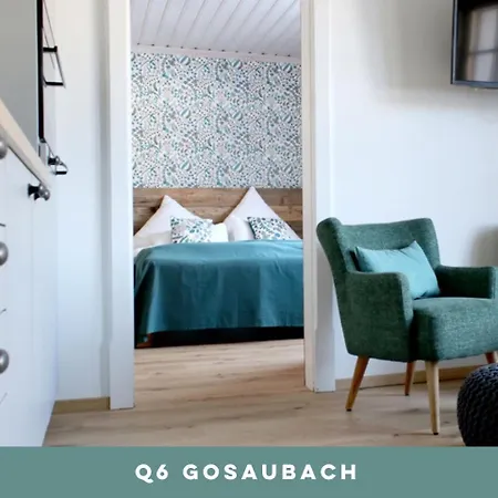 Appartement Dachstein 7