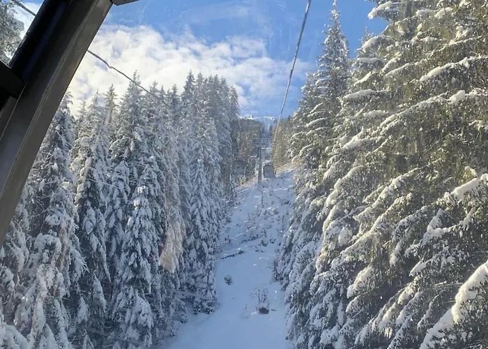 شقة Dachstein 7 غوساو