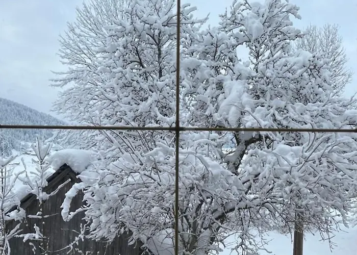 דירה Dachstein 7 גוסאו