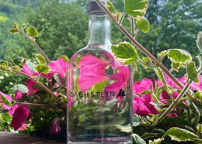 דירה Dachstein 7 *